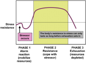 General Adaptation Syndrome